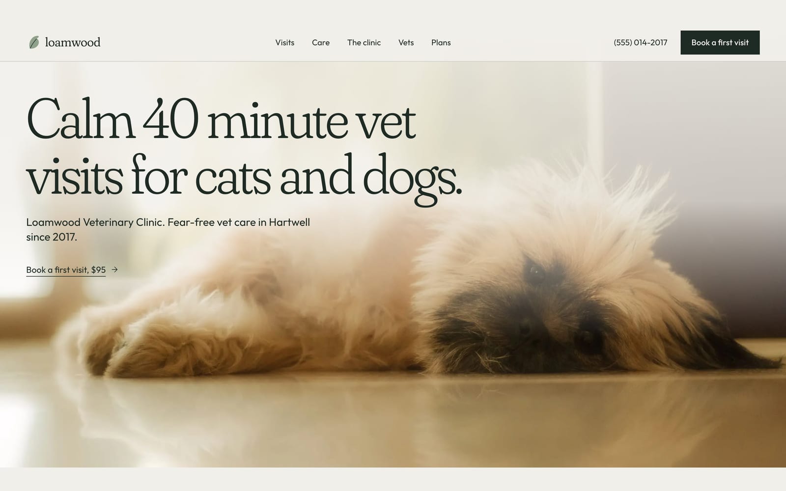 Veterinary clinic website design: Loamwood Veterinary Clinic home page, premium design-led style